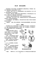 食品機械第五章 面食品成型與包裝機械的協(xié)同發(fā)展